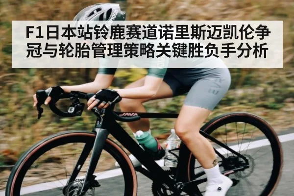 F1日本站铃鹿赛道诺里斯迈凯伦争冠与轮胎管理策略关键胜负手分析